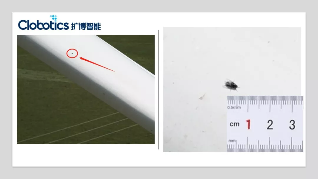 A small insect visible in an original wind turbine blade inspection image