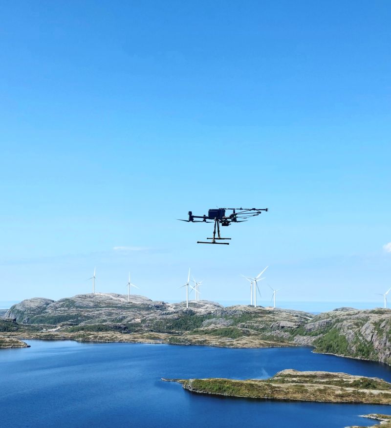 Hummingbird flying above an offshore wind landscape
