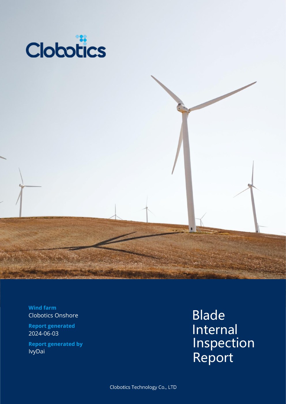 KIWI blade internal inspection report cover